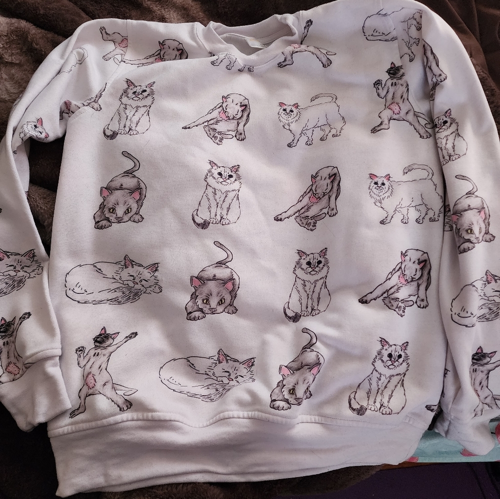 Cat sweatshirt